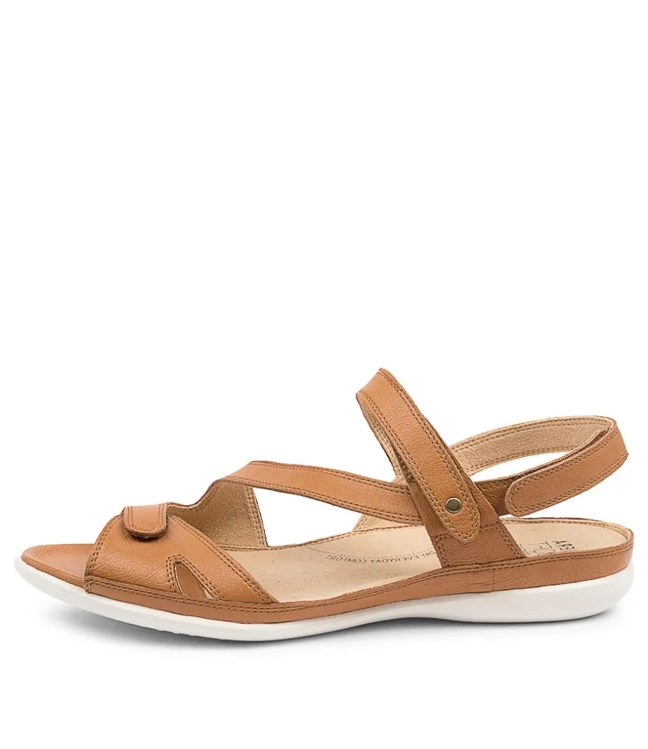 Belta W Dk Tan Leather<ZIERA Fashion