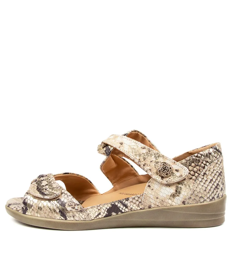 Doxie W Choc Multi<ZIERA Online