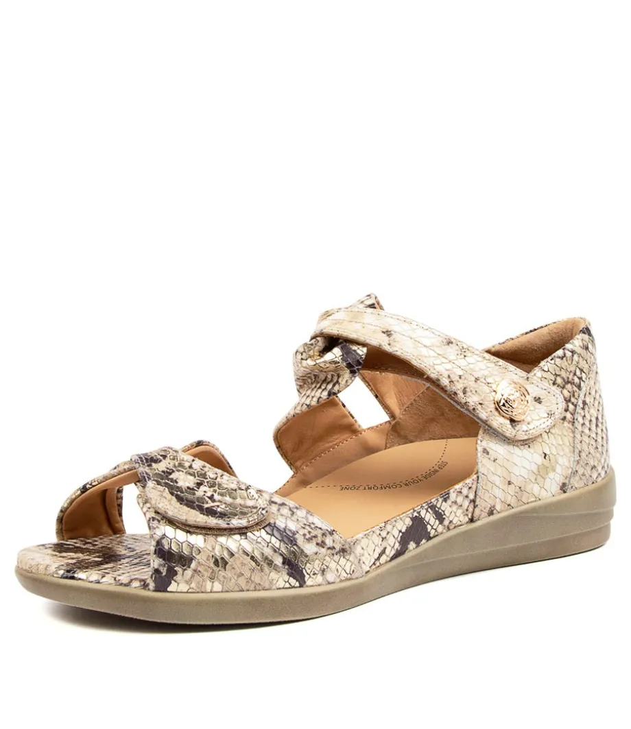 Doxie W Choc Multi<ZIERA Online