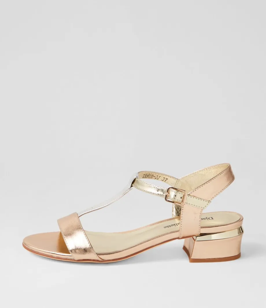 Taner Metallic Multi Sandals<DJANGO & JULIETTE Best